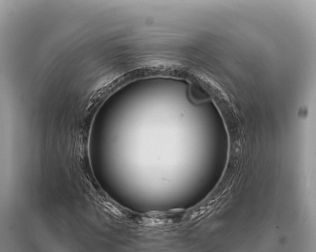 X0000096190869200801251238