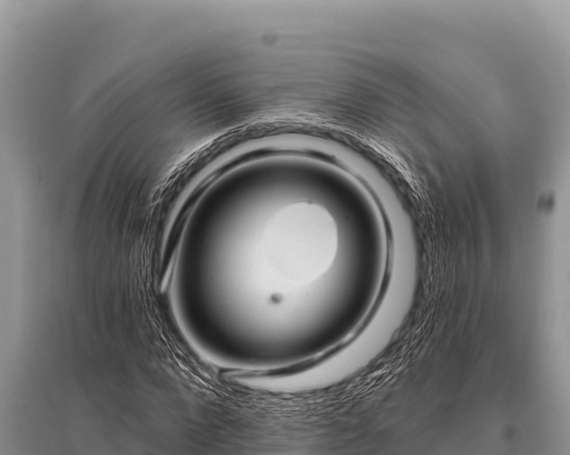 X0000096190872200801251238