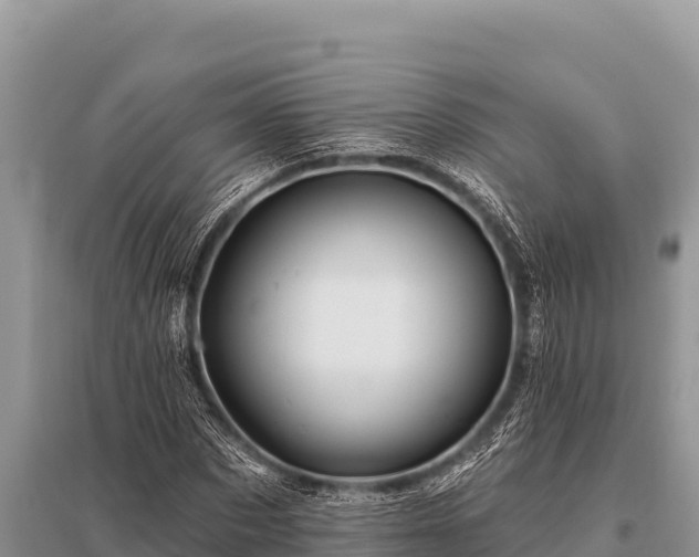 X0000096190873200801251238