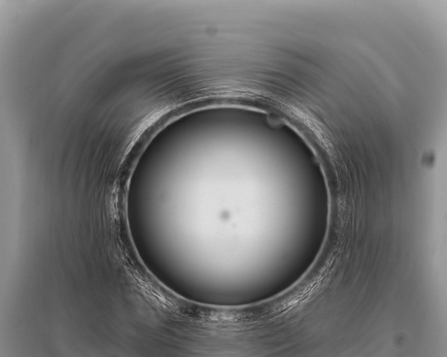 X0000096190875200801251237