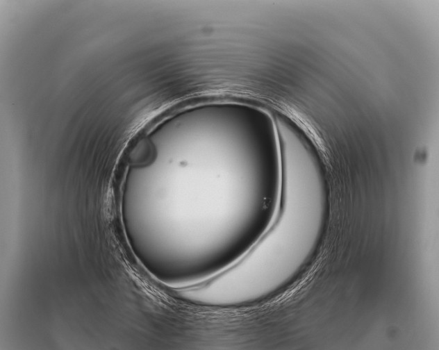 X0000096190876200801251237