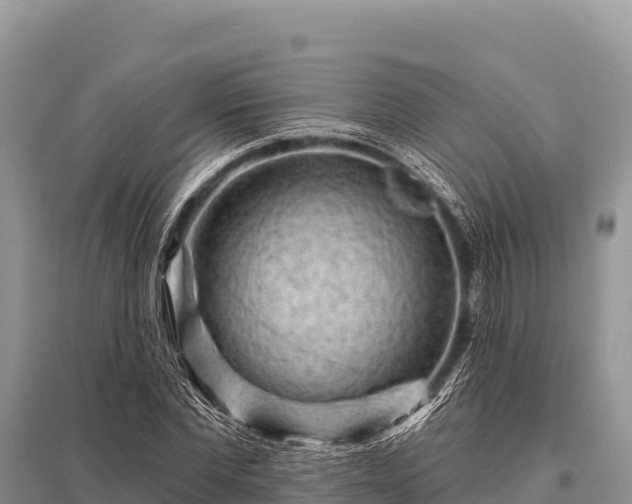 X0000096190877200801251237
