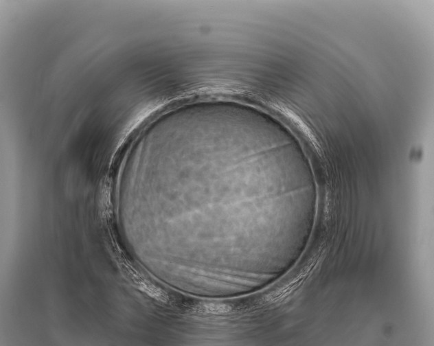 X0000096190878200801251237