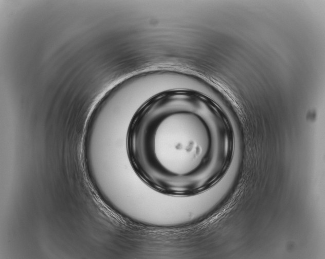 X0000096190880200801251237