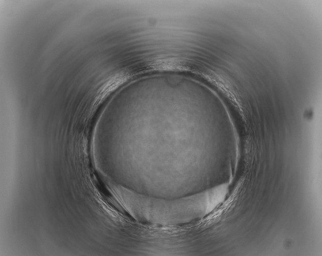 X0000096190881200801251237