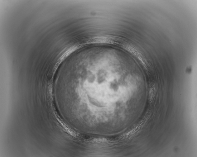 X0000096190882200801251237