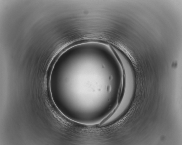 X0000096190884200801251237