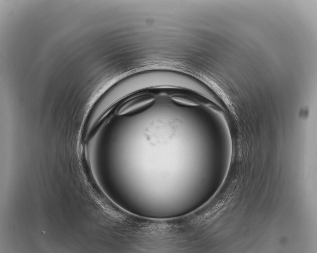 X0000096190885200801251237