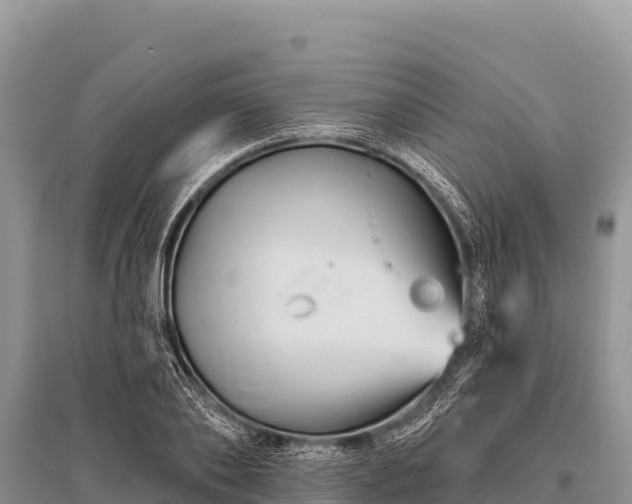 X0000096190886200801251237