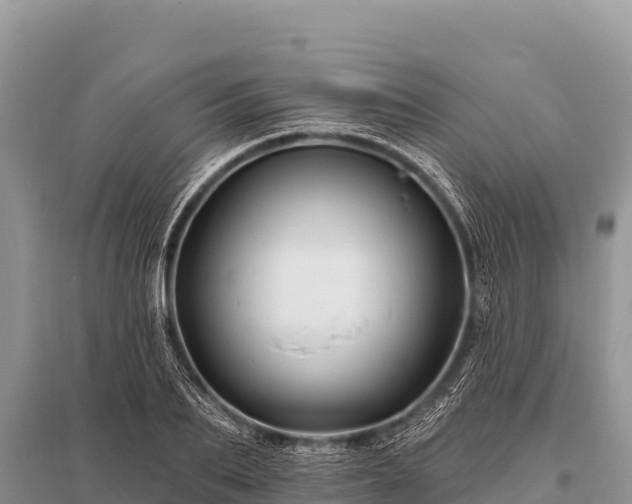 X0000096190887200801251237