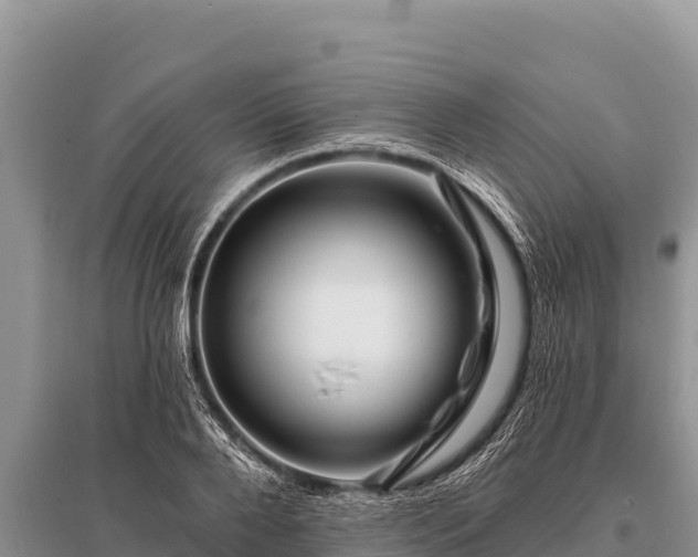 X0000096190888200801251237