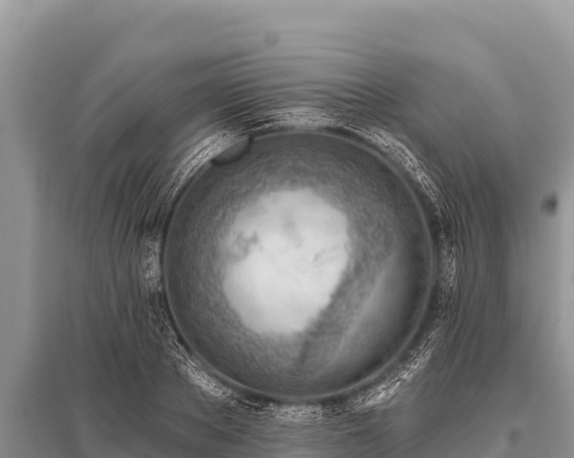 X0000096190889200801251237