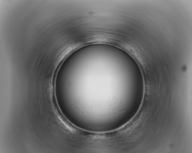 X0000096190890200801251237