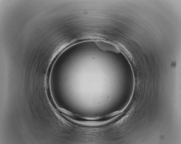 X0000096190893200801251237