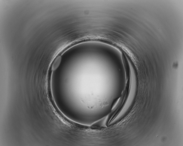 X0000096190894200801251237