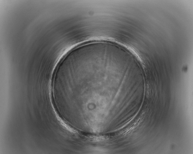 X0000096190895200801251237