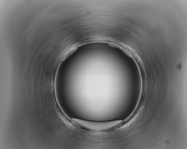 X0000096190897200801251237