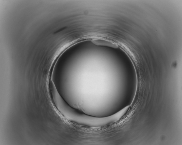 X0000096190901200801251237