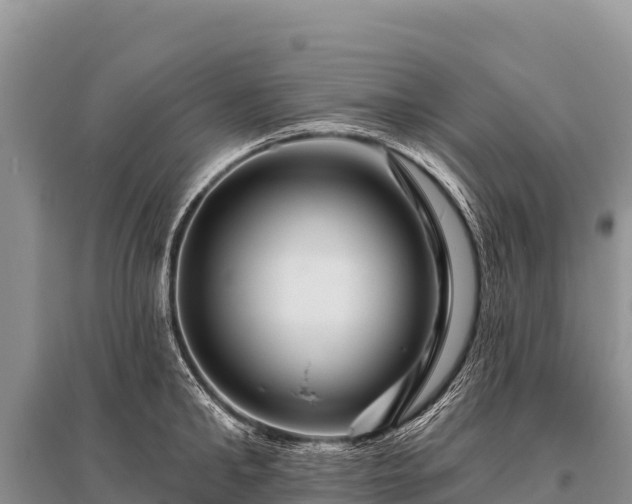 X0000096190902200801251237