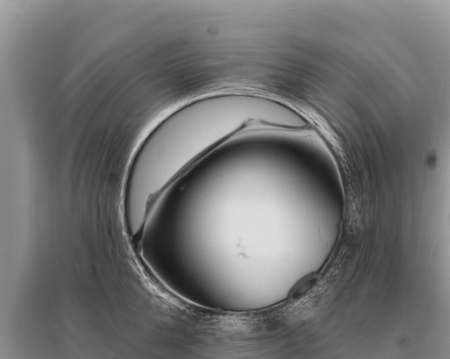 X0000096190904200801251237