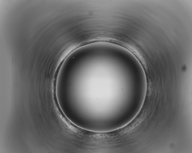 X0000096190906200801251237