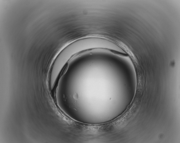 X0000096190908200801251237