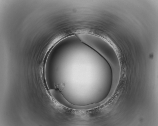 X0000096190909200801251237