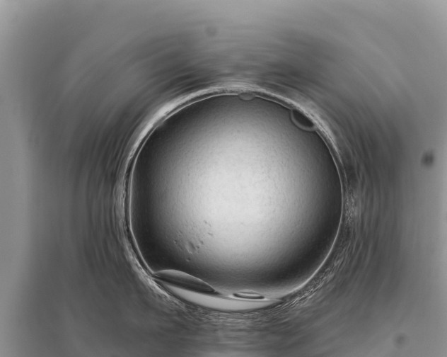 X0000096190911200801251237