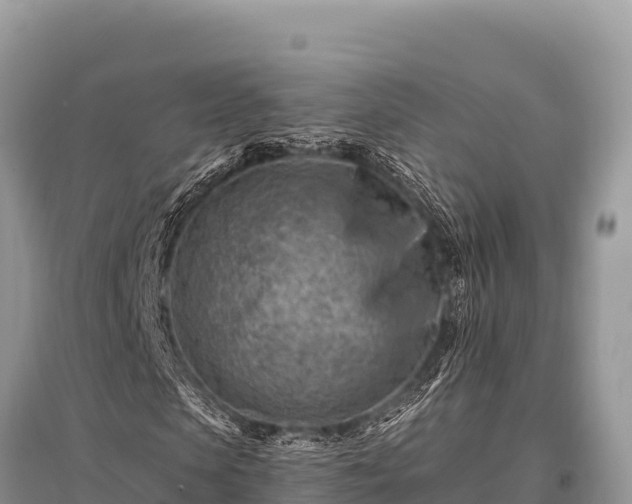 X0000096190913200801251236