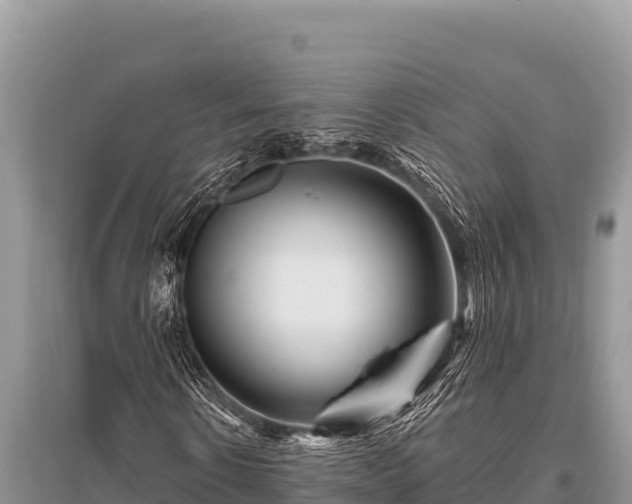 X0000096190914200801251236