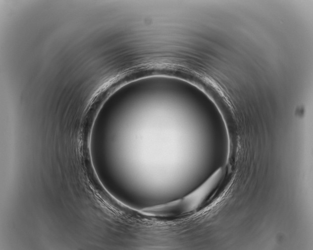 X0000096190922200801251236