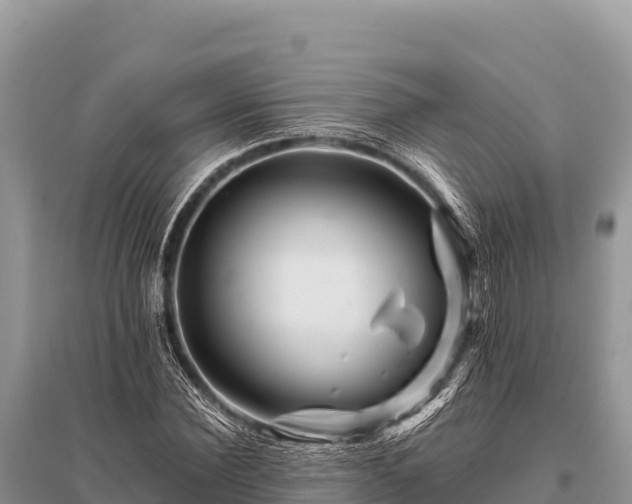 X0000096190924200801251236