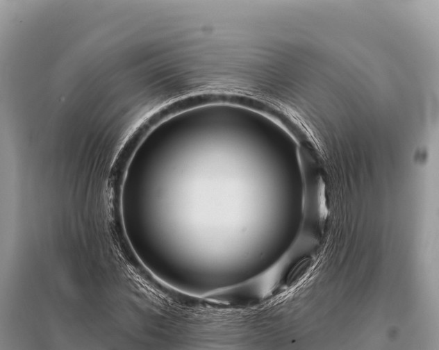 X0000096190926200801251236