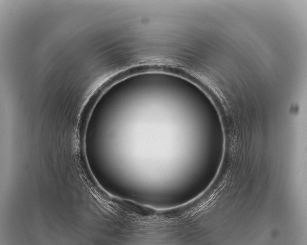 X0000096190927200801251236