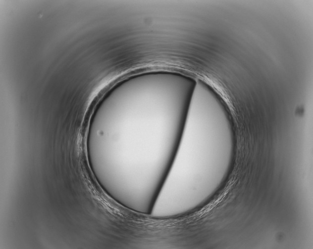 X0000096190928200801251236