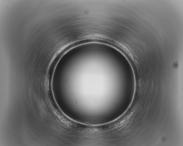 X0000096190931200801251236