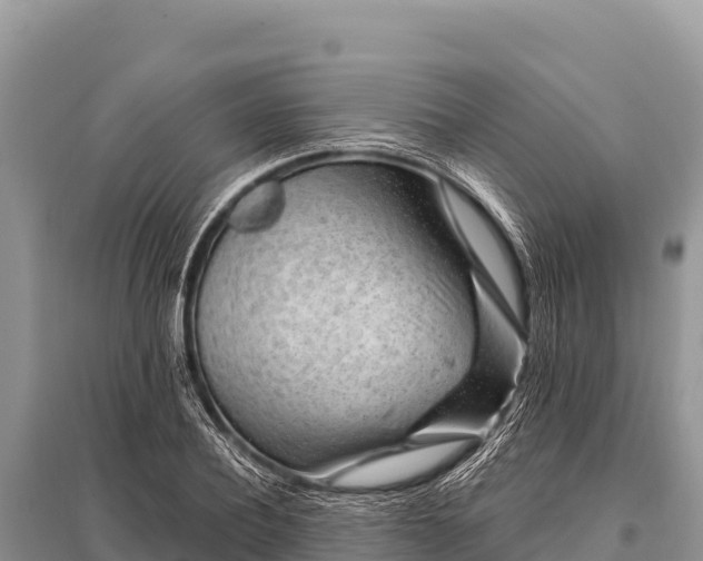 X0000096190932200801251236