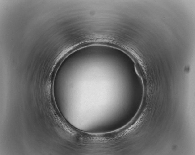 X0000096190933200801251236