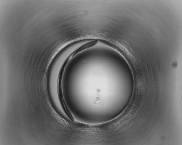 X0000096190934200801251236