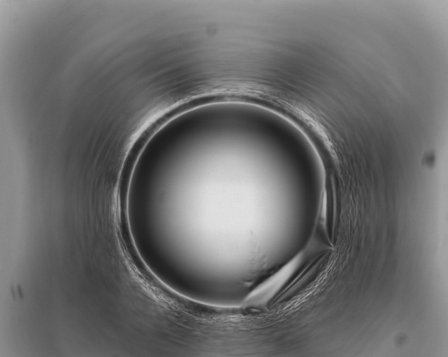 X0000096190936200801251236