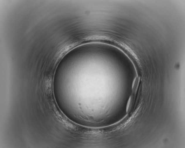 X0000096190937200801251236