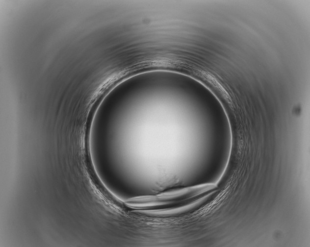 X0000096190938200801251237