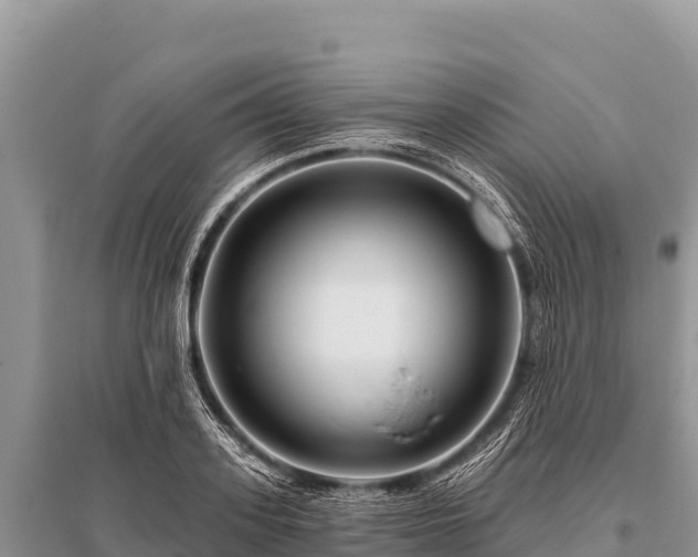 X0000096190939200801251237