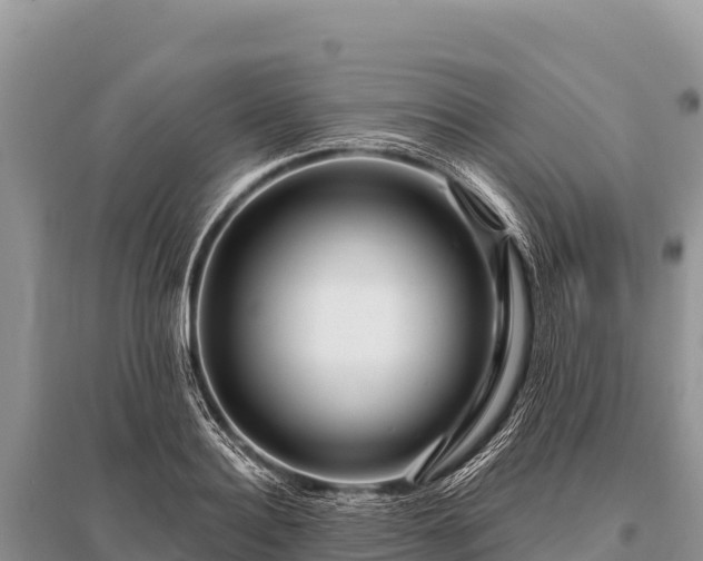 X0000096190940200801251237