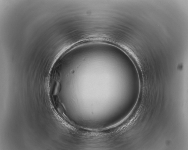 X0000096190941200801251237
