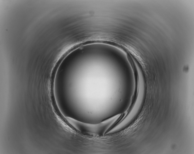 X0000096190942200801251237