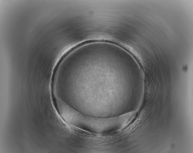 X0000096190943200801251237