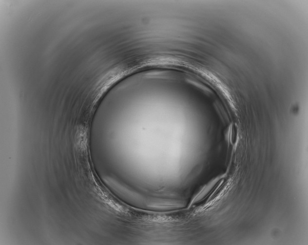 X0000096190945200801251237