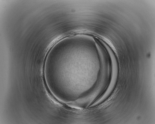 X0000096190946200801251237