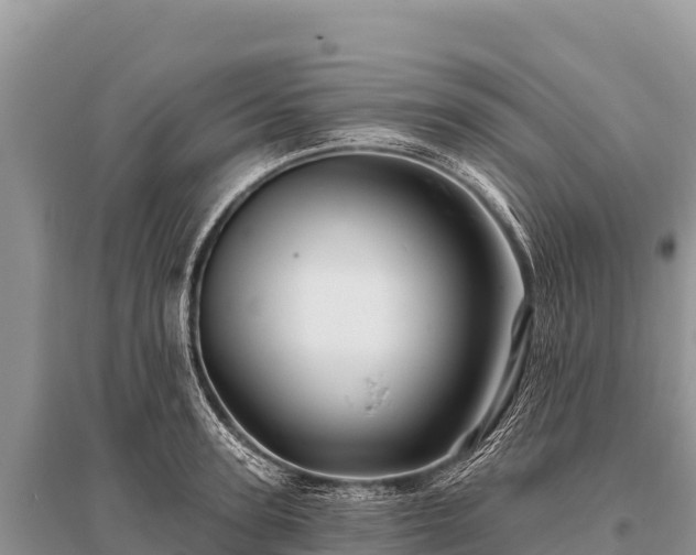 X0000096190947200801251237